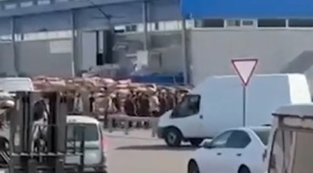 Rusiyada OMON-çuların yüzlərlə azərbaycanlını saxladığı iddia olunur