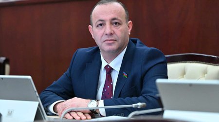 Lerik və Astarada sahibkarlar torpaq təyinatı ilə bağlı problemlərlə qarşılaşır - Deputat