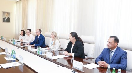 Səhiyyə Nazirliyi Pfizer nümayəndələri ilə görüşü
