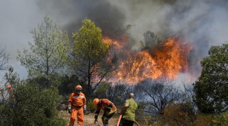 На юге Франции бушует лесной пожар