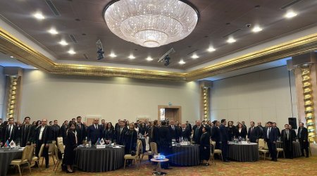 Azərbaycanda vəkillərin sayı artıb