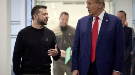 Трамп и Зеленский договорились