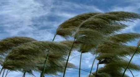 Növbəti üç gündə güclü külək əsəcək - XƏBƏRDARLIQ