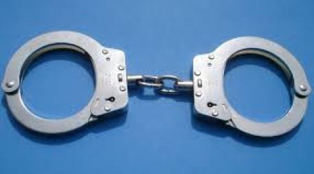 Lerikdə yanğına səbəb olan şəxslər saxlanıldı