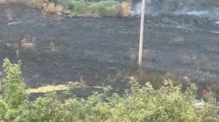 Sabirabadda kanalda boğulan gəncin meyiti 16 km məsafədə tapılıb