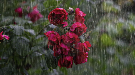 Bəzi yerlərdə arabir leysan xarakterli yağış yağıb - FAKTİKİ HAVA