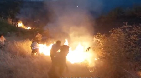 FHN: Xocalı, Xocavənd və Şuşada dağlıq ərazidə baş verən yanğınlar söndürülüb
