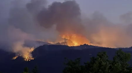 Azərbaycanda bir həftə ərzində 780 yanğına müdaxilə edilib