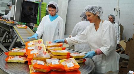 Qida Təhlükəsizliyi İnstitutnun mənfəəti 10%-ə yaxın azalıb