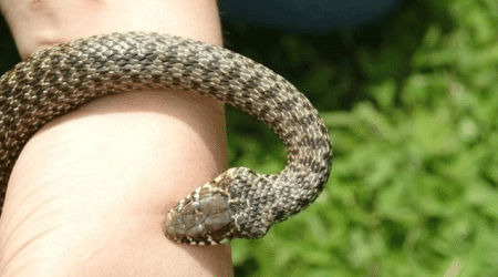 Bakıda 7 yaşlı uşağı ilan sancıb &ndash; vəziyyəti ağırdır