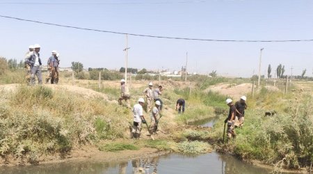 В Узбекистане в канал попала нефть из-за аварии