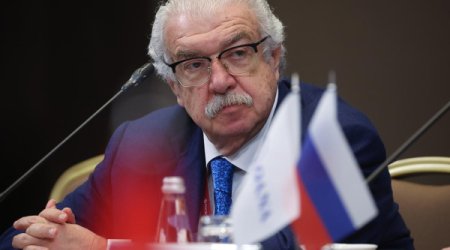 В России предложили лишить Михаила Гусмана наград