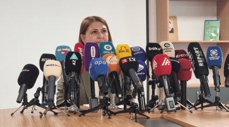 Azərbaycanda məktəbəqədər təhsildə özəl-dövlət əməkdaşlığı genişlənir