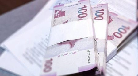 Dövlət Turizm Agentliyi 13 milyon manat vəsaiti büdcəyə qaytarmayıb