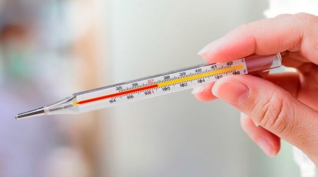 İtaliyada Qərbi Nil qızdırması diaqnozu qoyulmuş səkkizinci xəstə ölüb