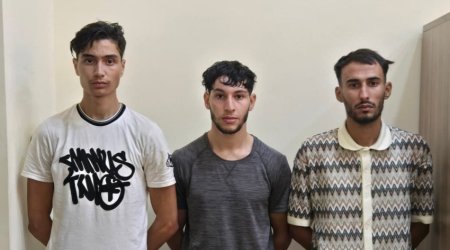 Four foreigners detained while attempting to cross Azerbaijan's border illegally