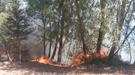 Laçının Güləbird kəndində mürəkkəb relyefli dağlıq ərazidə yanğın olub