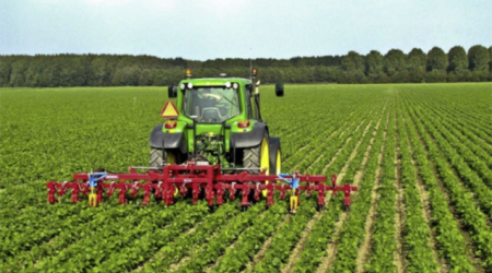 Altı ayda 600 milyon dollardan çox aqrar və aqrar-sənaye məhsulu ixrac edilib