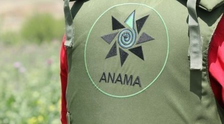 ANAMA: Over 7,000 hectares cleared of mines in July