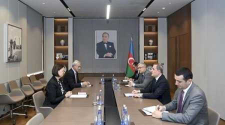 XİN rəhbəri Beynəlxalq Qızıl Xaç Komitəsinin nümayəndə heyətini qəbul edib