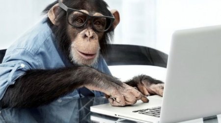 
В Китае создали компьютер, имитирующий работу мозга обезьяны