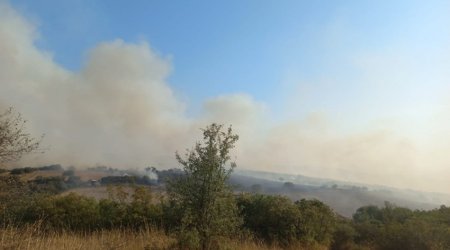 На северо-западе Турции вспыхнул лесной пожар