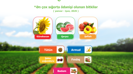 Azərbaycanda aqrar sığorta ödənişləri 4,4 milyon manatı ötüb