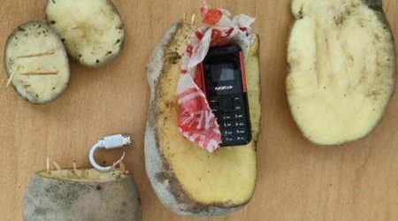 Kartofun içində həbsxana telefon keçirtmək istədi