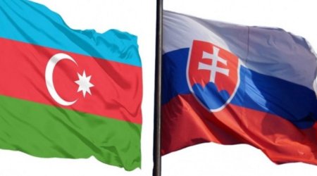 Словакия и Азербайджан проведут осенью политические консультации