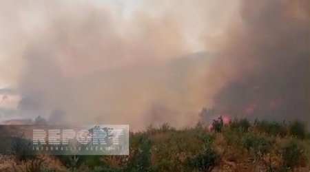 Пожар в горной местности в Агдере перекинулся на лесной массив