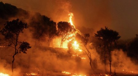 Огонь в Турции не унимается: Дарданеллы закрыты