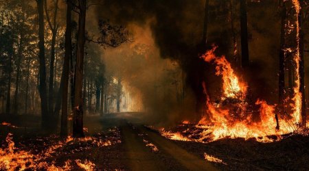 Ağdərə və Qubadlıda baş verən yanğınlar söndürülüb