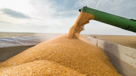 Казахстан увеличил экспорт зерна в Азербайджан в 121 раз