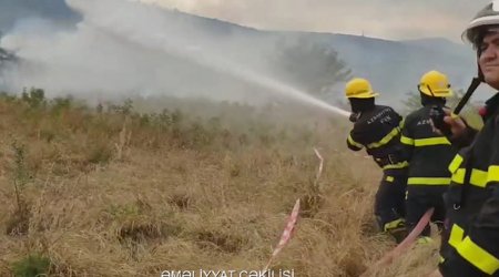 В нескольких селах Газаха горят леса
