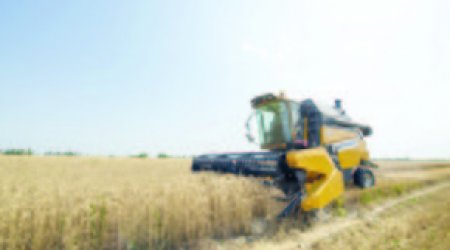 Минфин Азербайджана предлагает реформировать аграрные субсидии из-за неэффективности