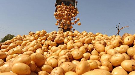 Azerbaijan ranks 107th in the world for potato prices