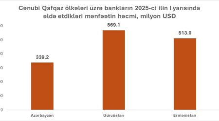2025-ci ilin 6 ayında Cənubi Qafqazda Gürcüstan bankları ən çox mənfəət qazanıb