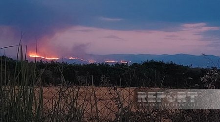 Лесной пожар в Агдере из-за ветра распространился на территорию Агдама