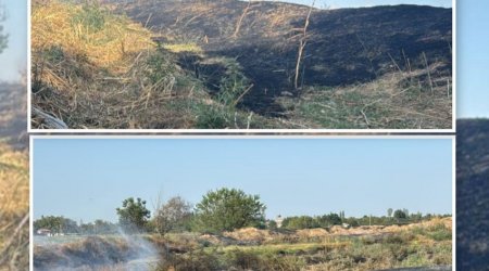 Ağdamda yanğın törətməkdə şübhəli bilinən şəxs saxlanılıb