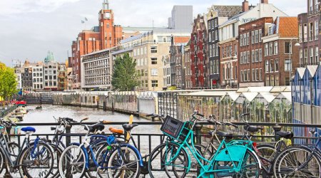 В Нидерландах предложили не принимать беженцев и депортировать судимых мигрантов