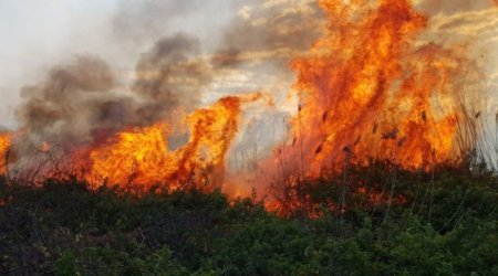 Лесные пожары в Агдере и Ходжавенде