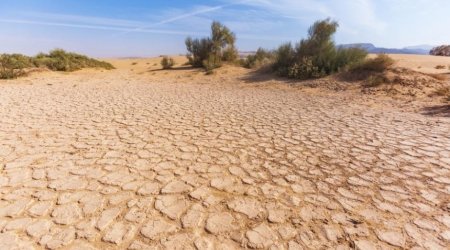 Рекордная засуха в Армении и Грузии