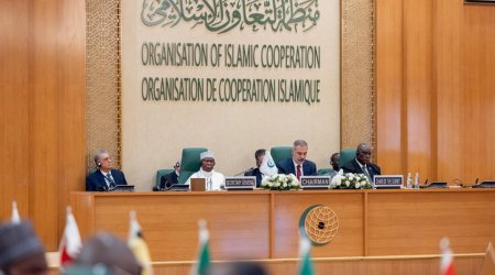 Главы МИД стран ОИС приняли итоговое заявление по Газе