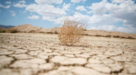 Ermənistan və Gürcüstanda rekord quraqlıq