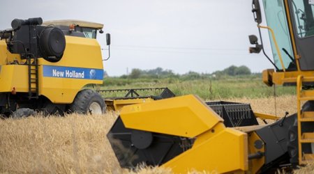 Для фермеров Нахчывана закупят 320 тонн озимых семян