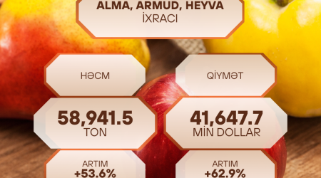 Azərbaycanın alma, armud və heyva ixracı 53,6% artıb