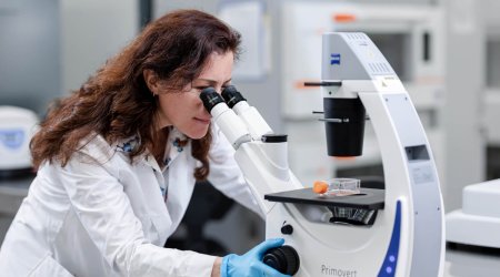 Scientists develop universal drug against viral infections