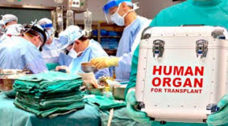 Azərbaycanda orqan transplantasiyası sahəsində infrastruktur genişlənir