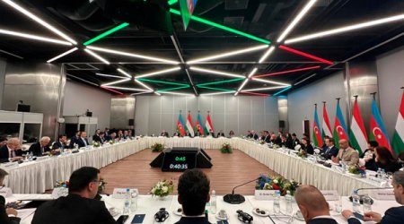 Азербайджан и Венгрия наладят обмен опытом в области фармацевтики