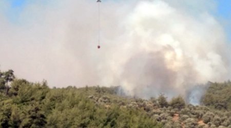 Bodrumda meşə yanır